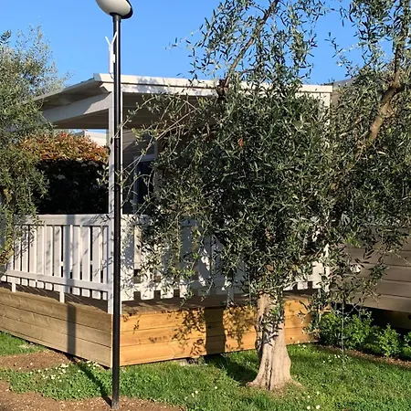 Kemping Happy Camp In Don Antonio Glamping Village Giulianova